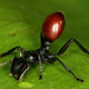 Image for article titled Science Is Awesome!